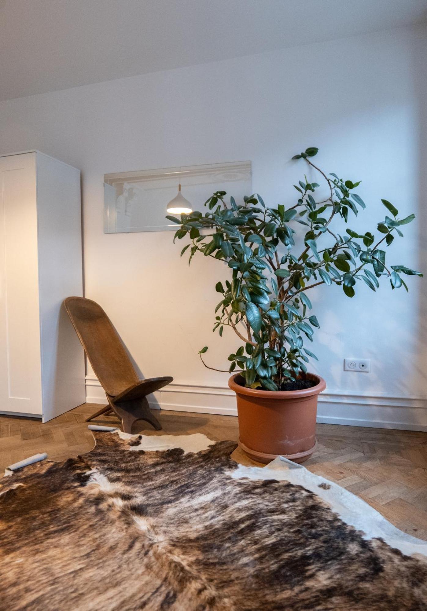 Les Appartements Rue des Veaux - Quartier Cathédrale Strasbourg Extérieur photo
